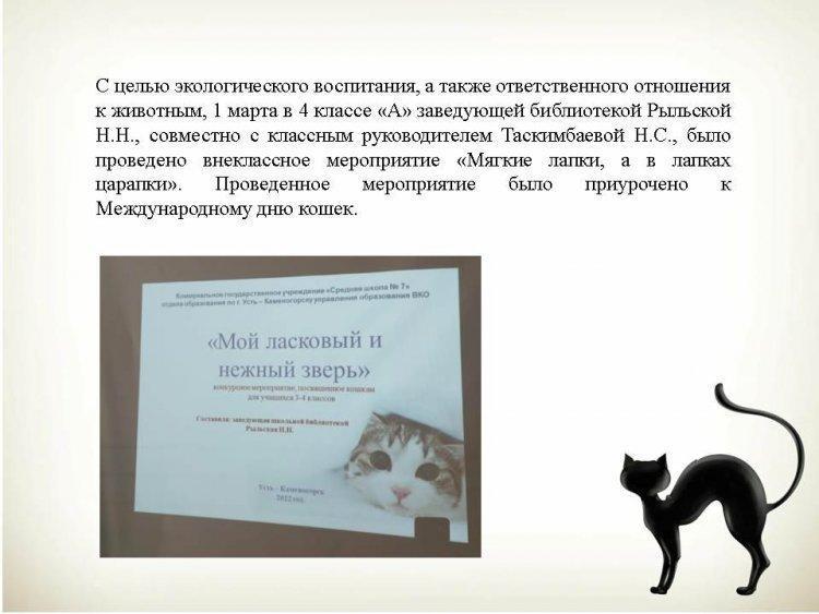 Внеклассное мероприятие "Мягкие лапки, а в лапках царапки"